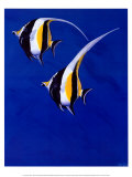 Moorish Idols