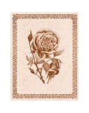 Buy Sepia Rose I at AllPosters.com