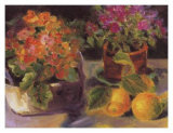 Buy Primrose l at AllPosters.com