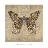 Leopard Butterfly