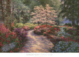 Azalea Glade