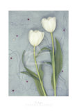 Buy Tulips at AllPosters.com