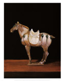 Asian Equus II