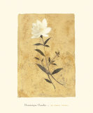 Buy My Honey Flower at AllPosters.com