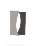 Buy Echo I at AllPosters.com