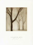 Buy Forest I at AllPosters.com