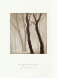Buy Forest III at AllPosters.com