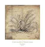 Buy Rain Forest Study II at AllPosters.com