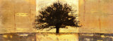 Great Woods III