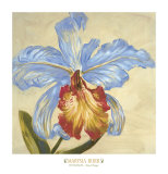 Buy Hot Blooms III at AllPosters.com