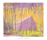 Saltbox Barn, 2002