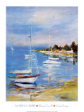 Dream Cove II
