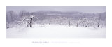 Buy The Seasons Project, 29th of March, 10:25 AM at AllPosters.com