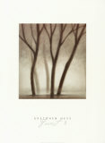 Buy Forest II at AllPosters.com