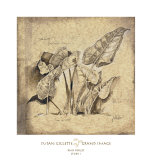 Buy Rain Forest Study I at AllPosters.com