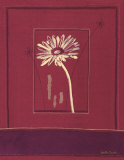 Buy Delhi Daisy at AllPosters.com