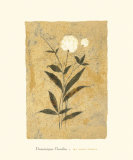 Buy My Snow Flower at AllPosters.com