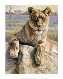 Serengeti Lioness