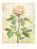Buy Da Solo II at AllPosters.com
