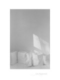 Paper Bags