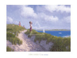 The Lookout