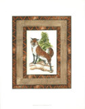 Rustic Fox