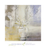 Silver Spring Art Print
