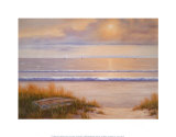 Ocean Surf