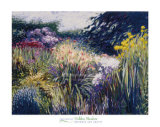 Hidden Meadow