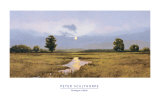 Buy Evening on a Marsh at AllPosters.com