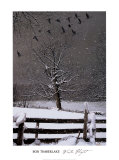 Winter Flight