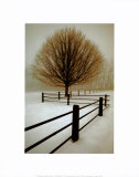 Solitude