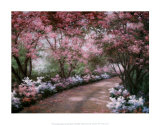 Azalea Walk