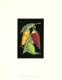 Hot Peppers II