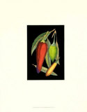 Hot Peppers I