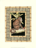 Monkey with Rattan Border II