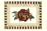 Buy Camelia Reticulata at AllPosters.com