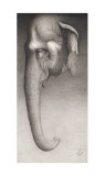 Buy Toni, the Elephant at AllPosters.com