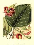 Buy Fantastical Botanical I at AllPosters.com