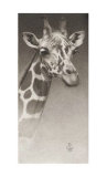 Buy Jean the Giraffe at AllPosters.com