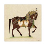 Horse from India II