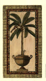 Palms with Rattan I
