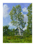 Birch Tree Near Dwelling Art Print