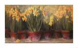 Janine's Daffodils Art Print
