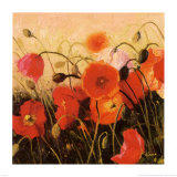 Buy Poppy Party at AllPosters.com