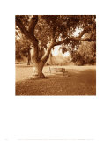 Buy Arboretum at AllPosters.com