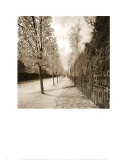 Buy French Jardin at AllPosters.com
