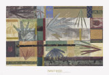 Buy Natural Progression IV at AllPosters.com