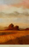 Open Landscape II Art Print