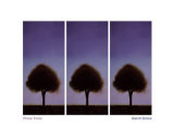 Three Trees